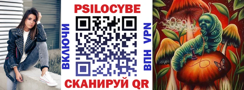 Псилоцибиновые грибы прущие грибы  Торопец 